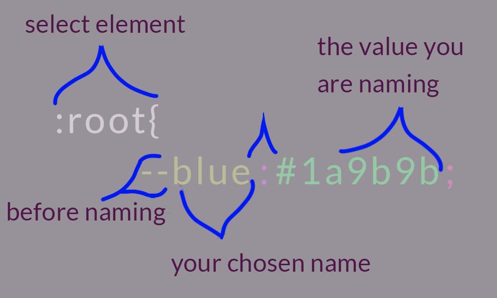 :root {--blue: #1a9b9b;}